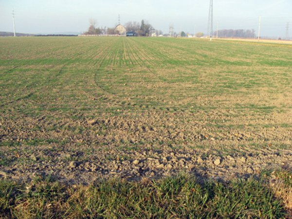 60 Acres Offered in 2 Tracts